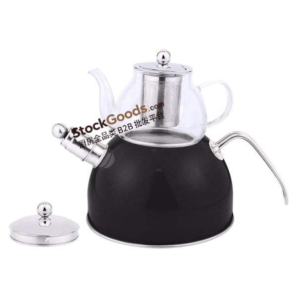 3.0L Stainless Steel Kettle & 0.6L Glass Teapot Set with Infuser, Black