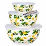 Premium Printed Enamel Salad Bowl with PP Lid, Multiple Patterns Available